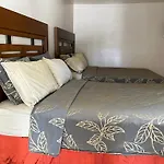 Del Bosque Tj Inn