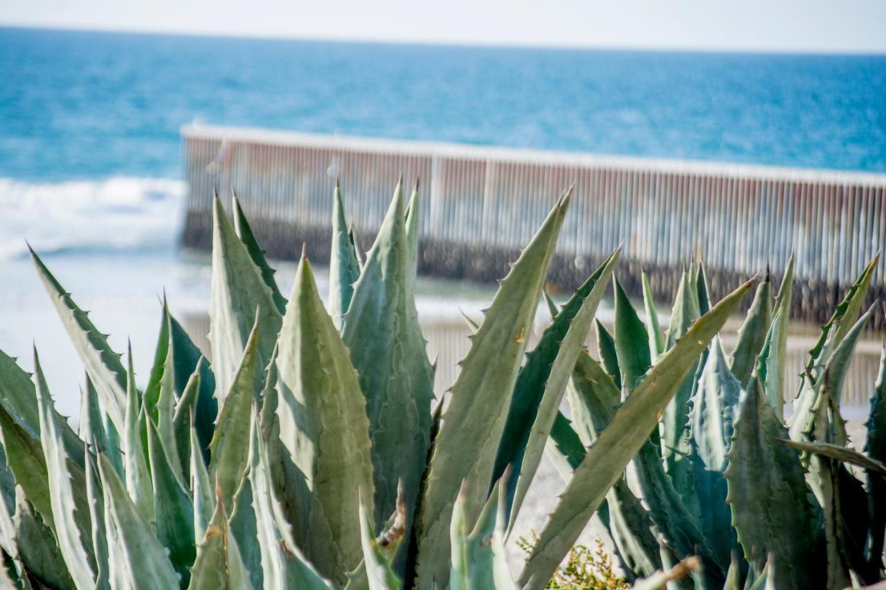 Beachfront Escape - Cozy
