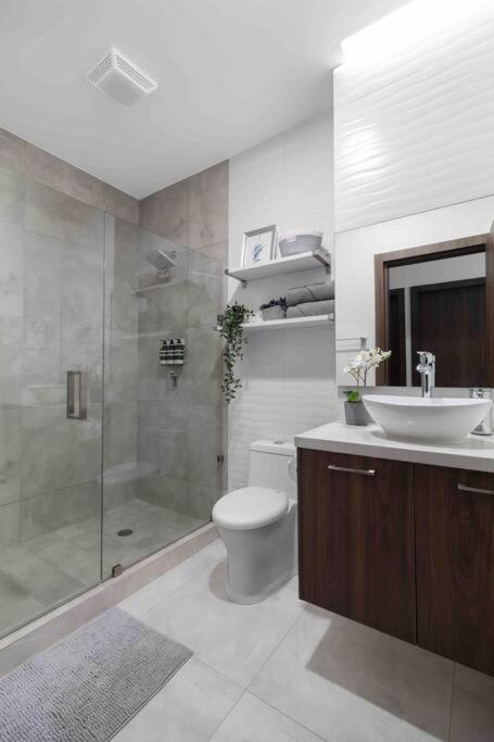 Modern And Luxurious In