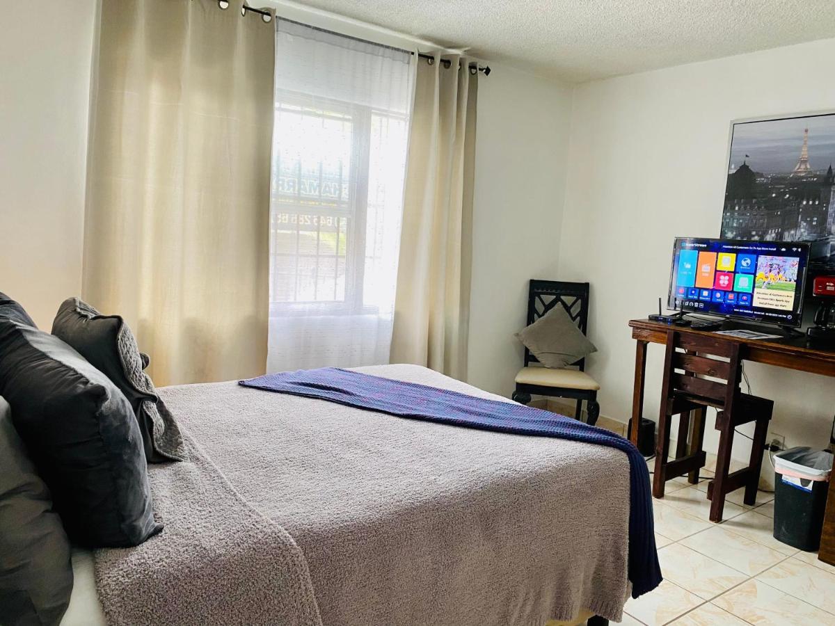 The Dog House Homestay Tijuana