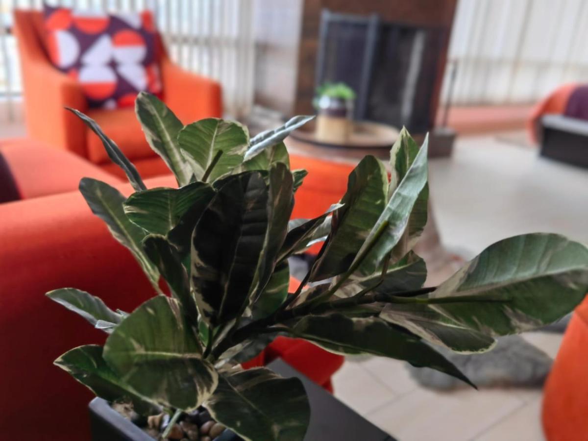 Casa Cacho Hotel Tijuana