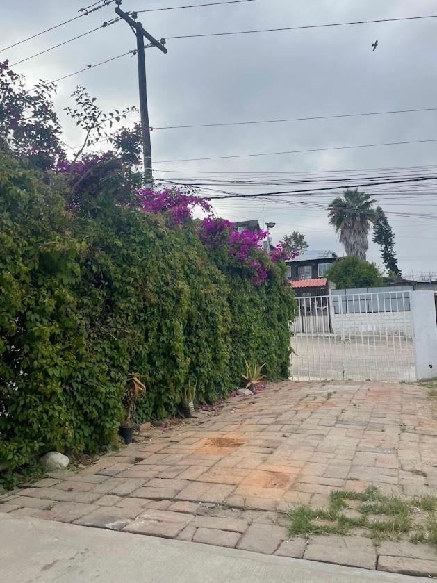 Hospedagem domiciliar En Casa Casiopea Tijuana