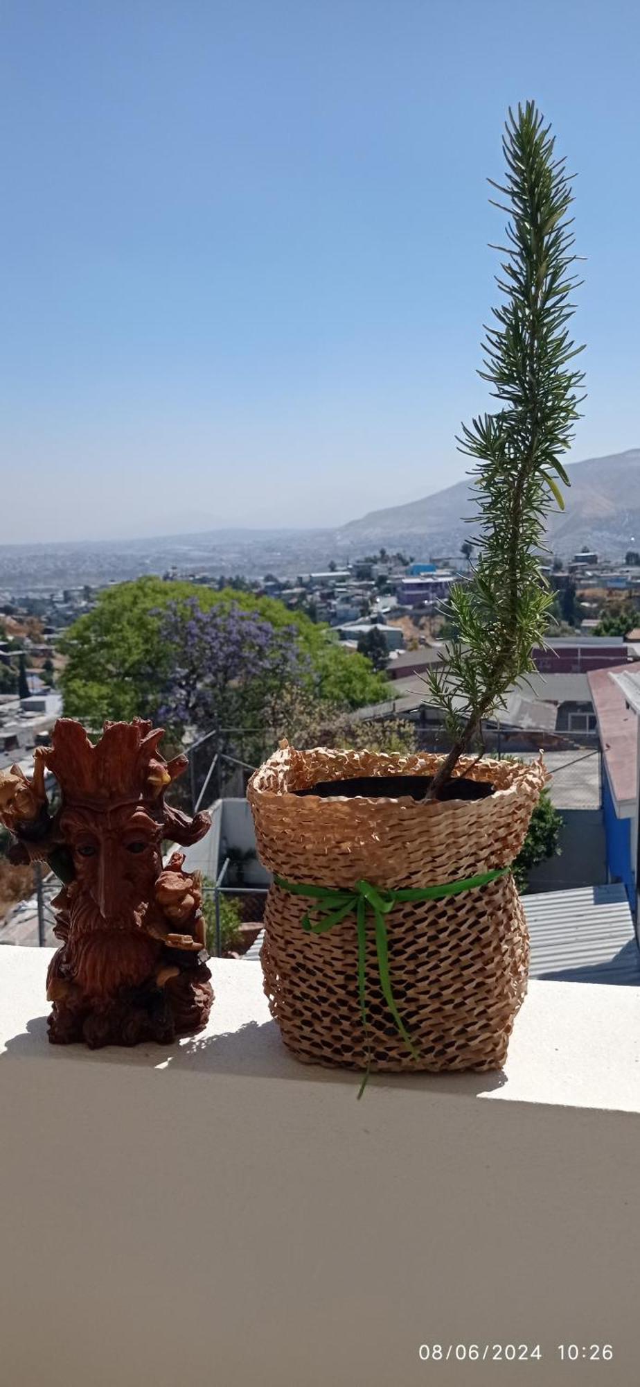 Homestay Renacimiento En *