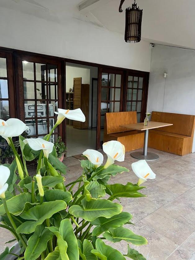En Casa Casiopea Hospedagem domiciliar Tijuana