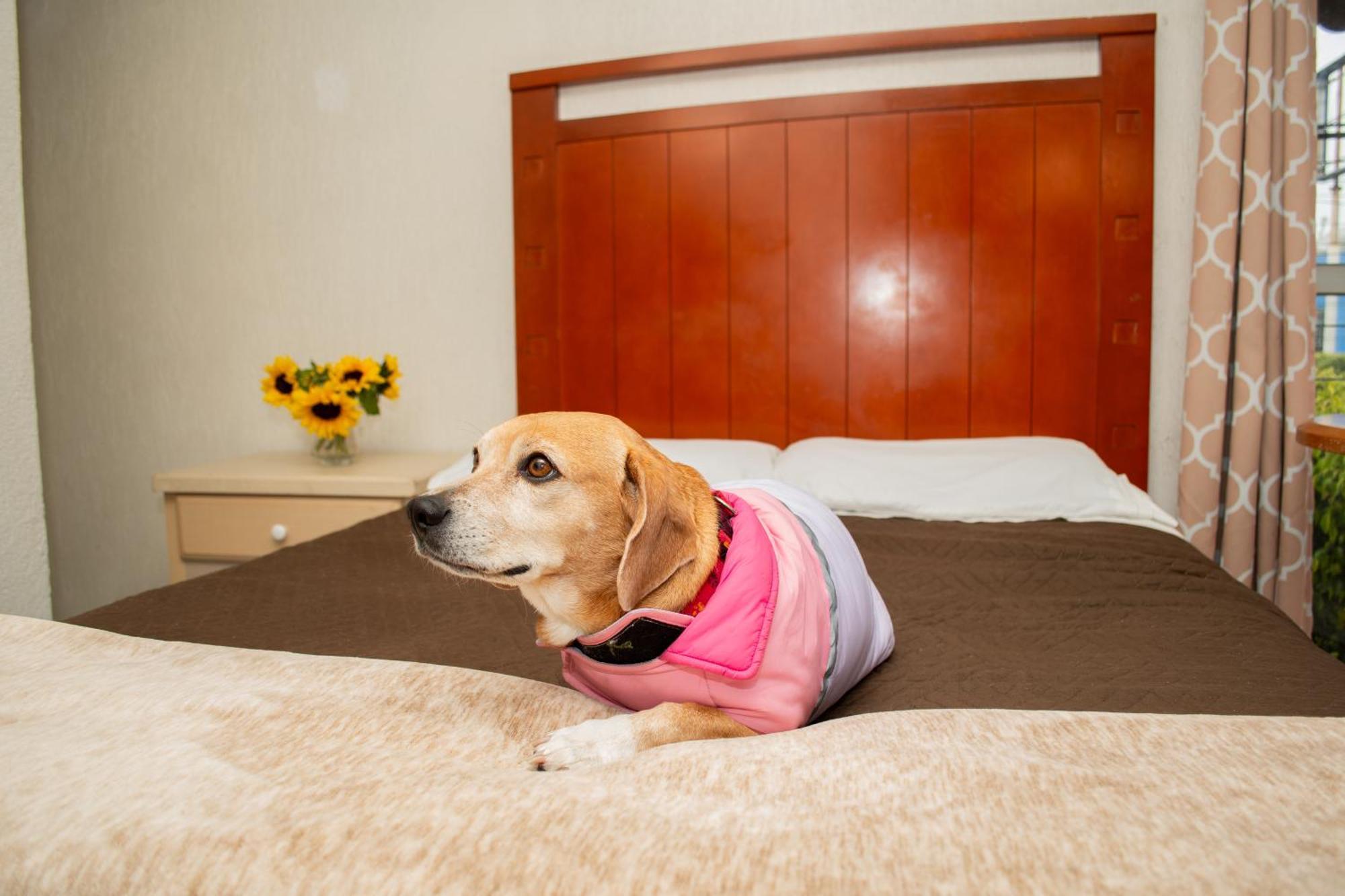 Colonial 3* Tijuana