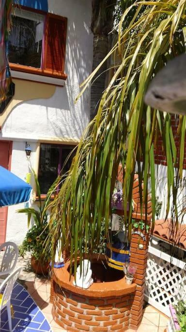 Amazingly Romantic Vacation For Your Honeymoon Holiday home Tijuana