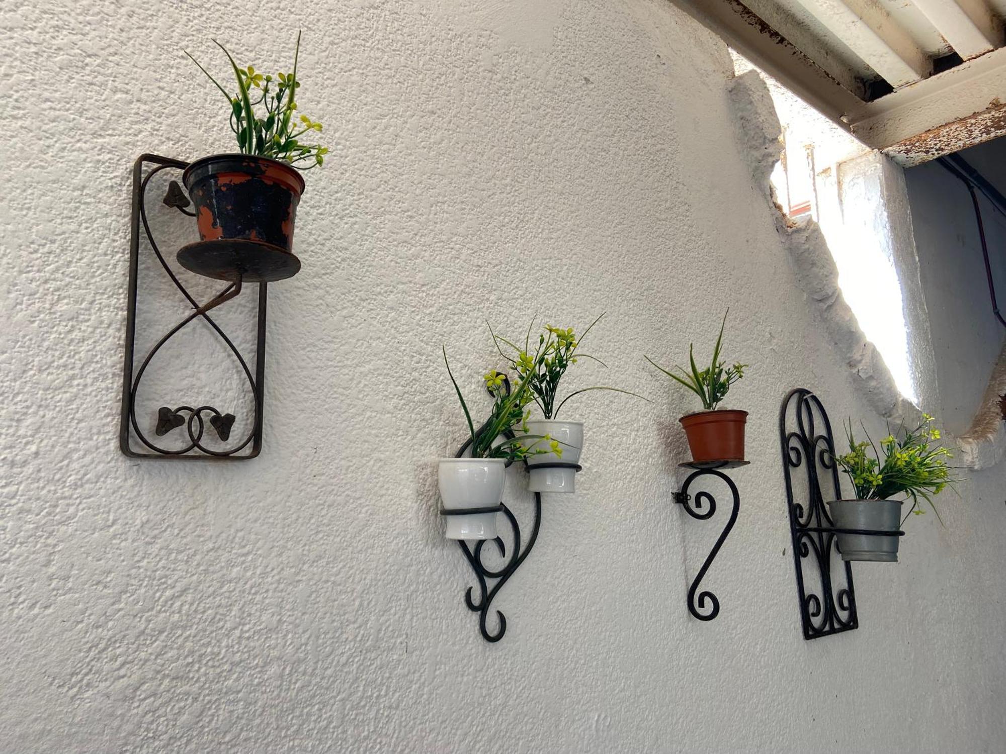 Apartment Quetzal House *