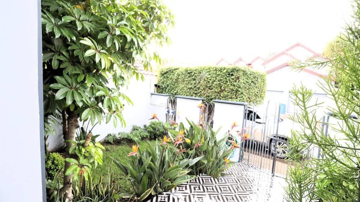 Casa Lomas Cozy 3 Bedroom 2 Bath House By Xolos Stadium * Tijuana